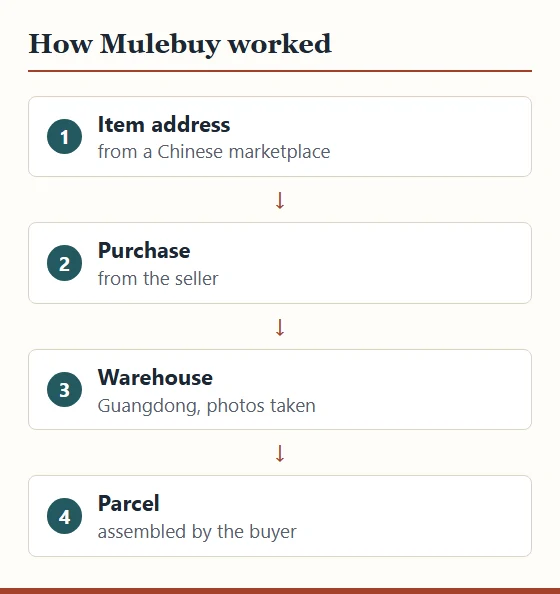 Four boxes describing how Mulebuy worked: item address, purchase from the seller, warehouse in Guangdong with photos, parcel assembled by the buyer.