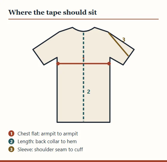 Outline of a T-shirt with three measuring lines: chest flat from armpit to armpit, length from back collar to hem, sleeve from shoulder seam to cuff.
